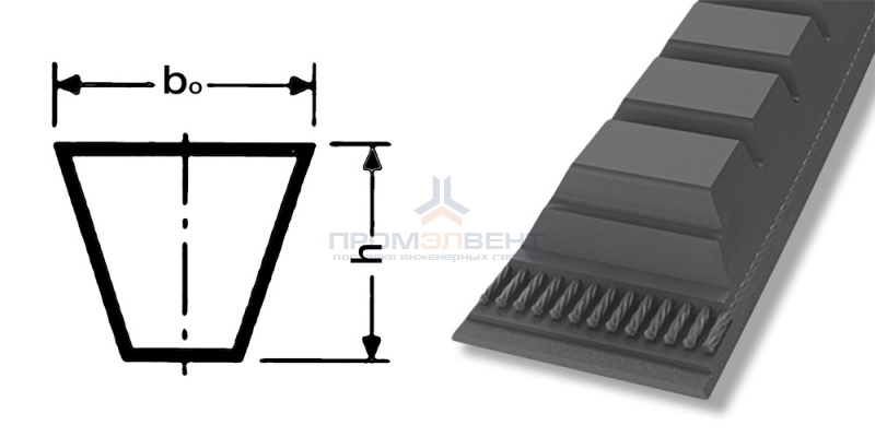 ремень xpa 1300
